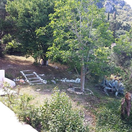 Atisis Apartments Benitses  Dış mekan fotoğraf