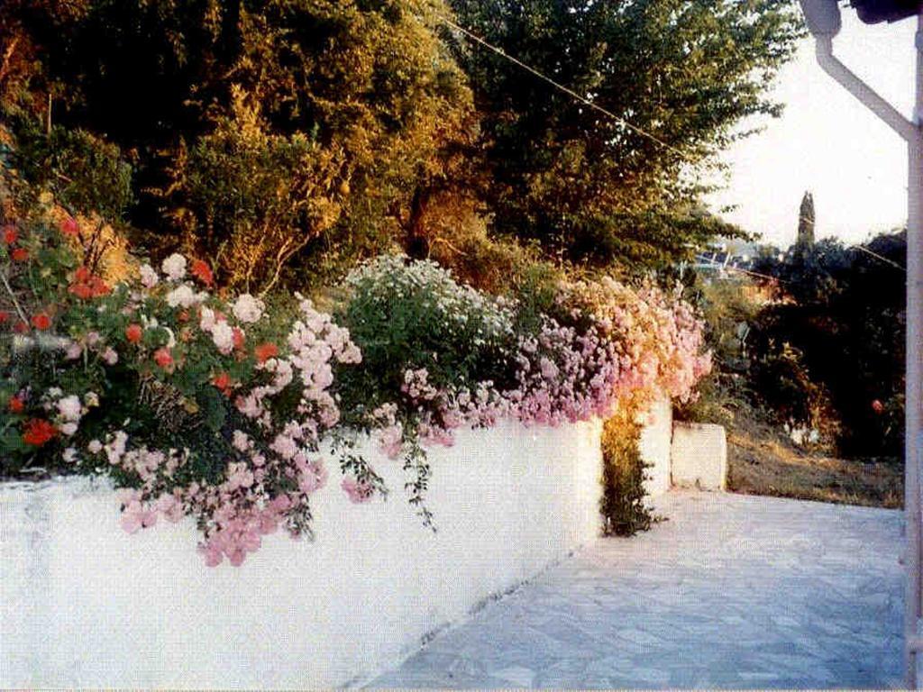 Atisis Apartments Benitses  Dış mekan fotoğraf