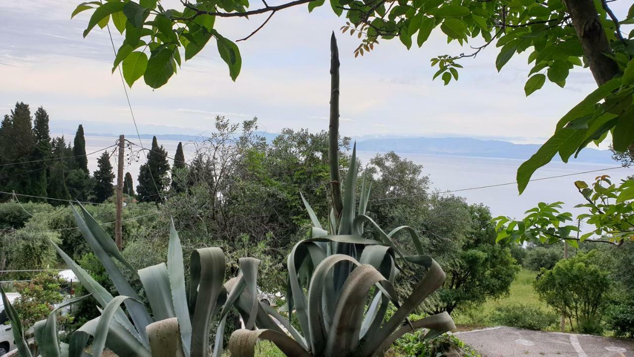Atisis Apartments Benitses  Dış mekan fotoğraf